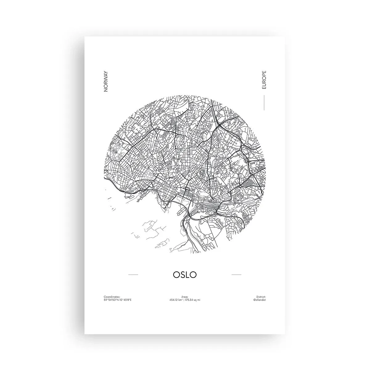 Poster - Anatomie van Oslo - 61x91 cm