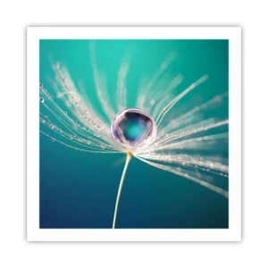 Poster - Mystiek moment - 60x60 cm