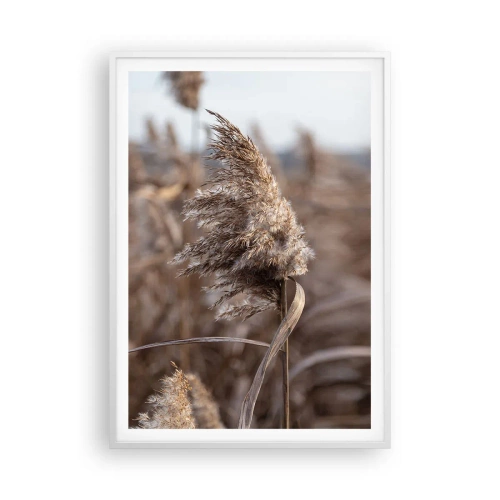 Poster in een witte lijst - Tijd om met de wind mee te gaan - 70x100 cm