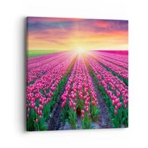 Schilderen op canvas - Beautyfarm - 40x40 cm