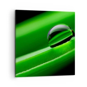 Schilderen op canvas - Leven van dichtbij - 50x50 cm