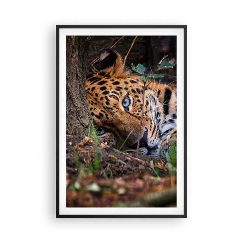 Poster in een zwarte lijst - Geloof me - 61x91 cm