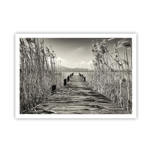 Poster - In de stilte van het gras - 100x70 cm