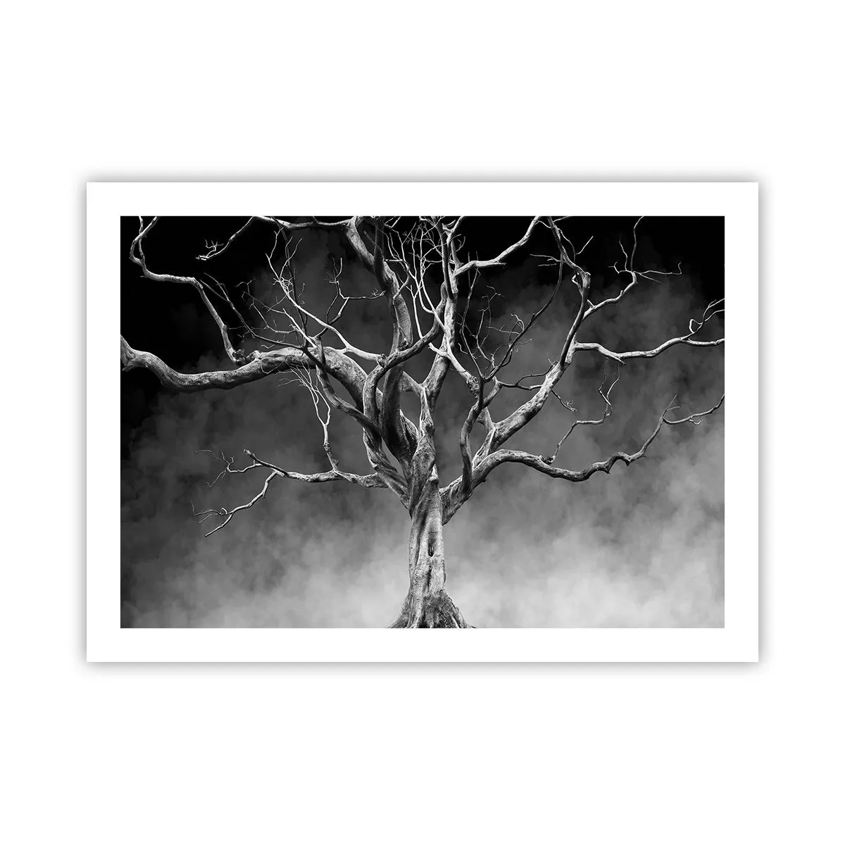 Poster - Oorspronkelijk en heilig - 70x50 cm