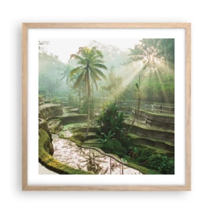 Een poster in een licht eiken lijst - Opgroeien in de zon - 50x50 cm