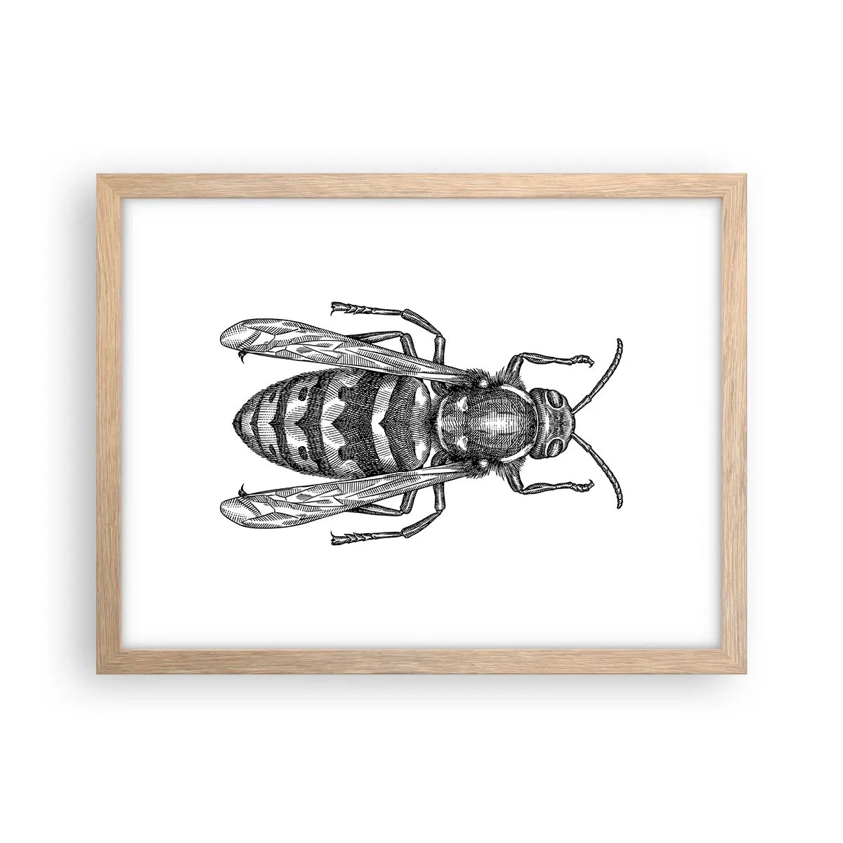 Een poster in een licht eiken lijst - Van een insectenplaneet - 40x30 cm
