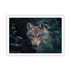 Poster - Jager - 100x70 cm