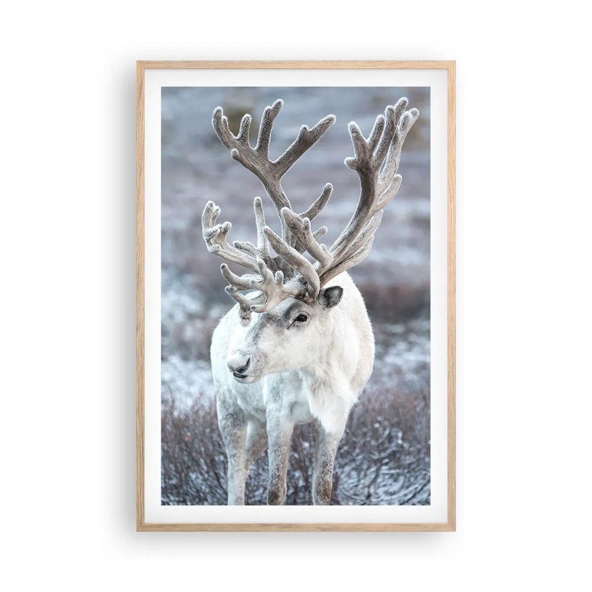 Een poster in een licht eiken lijst - Portret in de zon - 61x91 cm