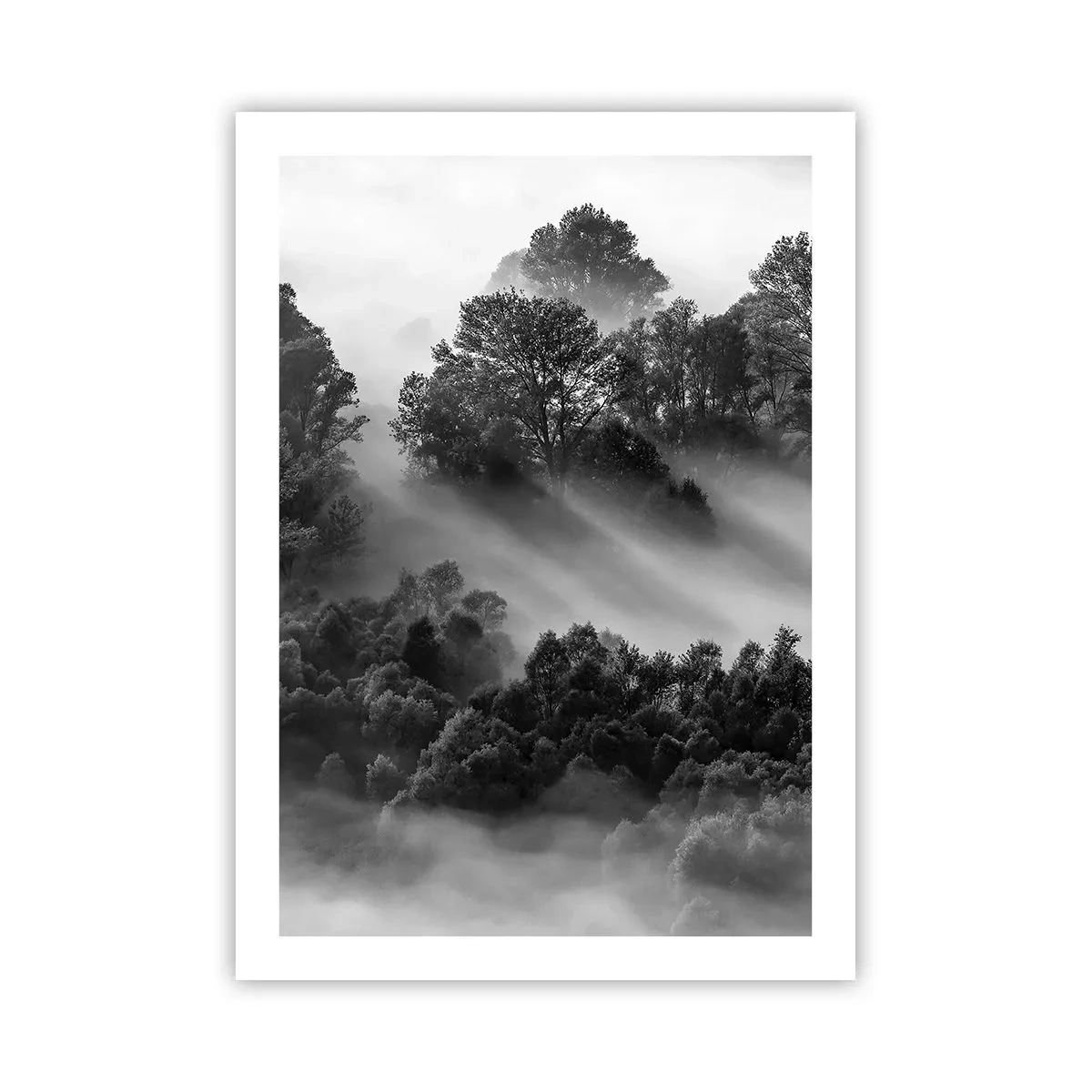 Poster - Opstaand uit de slaap - 50x70 cm