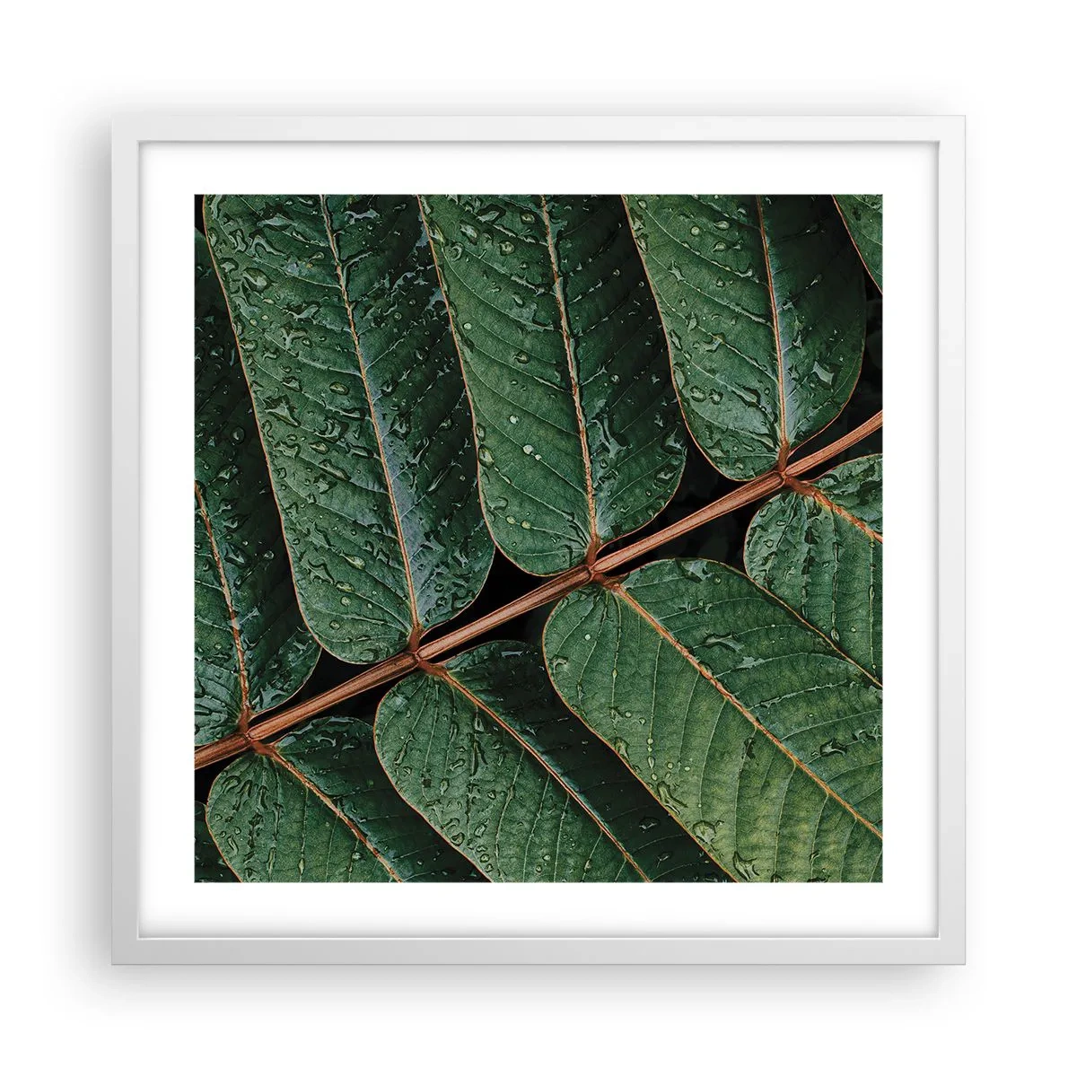 Poster in een witte lijst - In een groen ritme - 50x50 cm