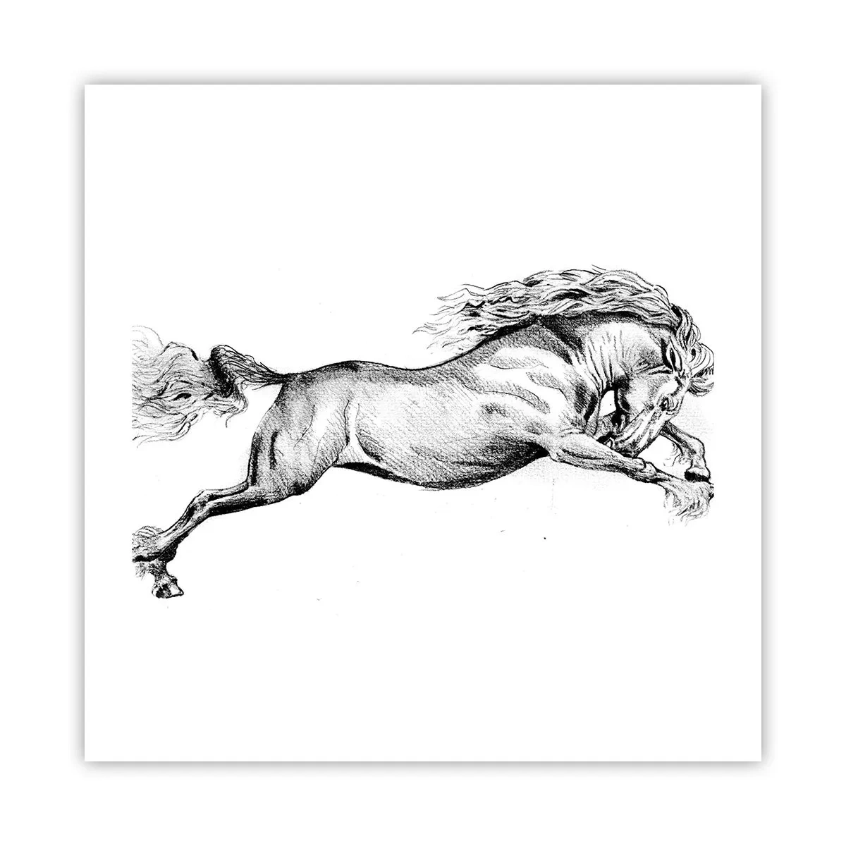 Poster - Vastgehouden in galop - 50x50 cm
