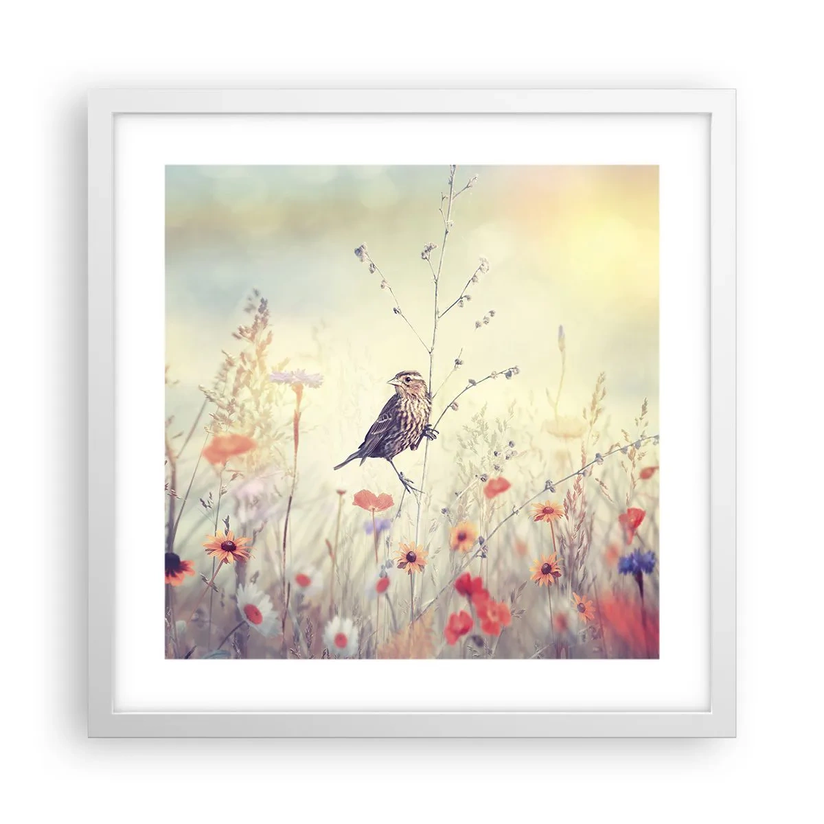 Poster in een witte lijst - Vogelportret met een weiland op de achtergrond - 40x40 cm