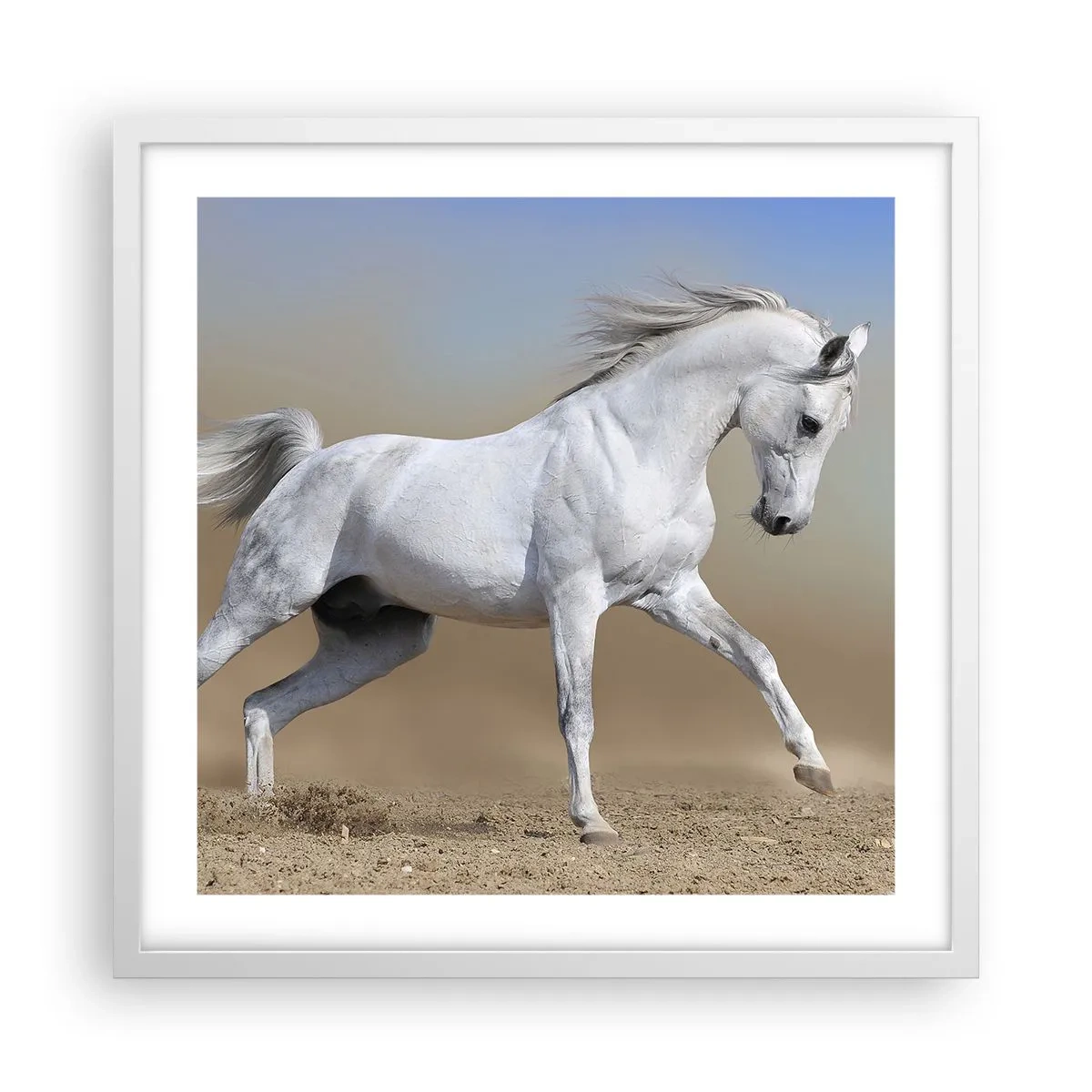 Poster in een witte lijst - Het mooiste Arabische sprookje - 50x50 cm