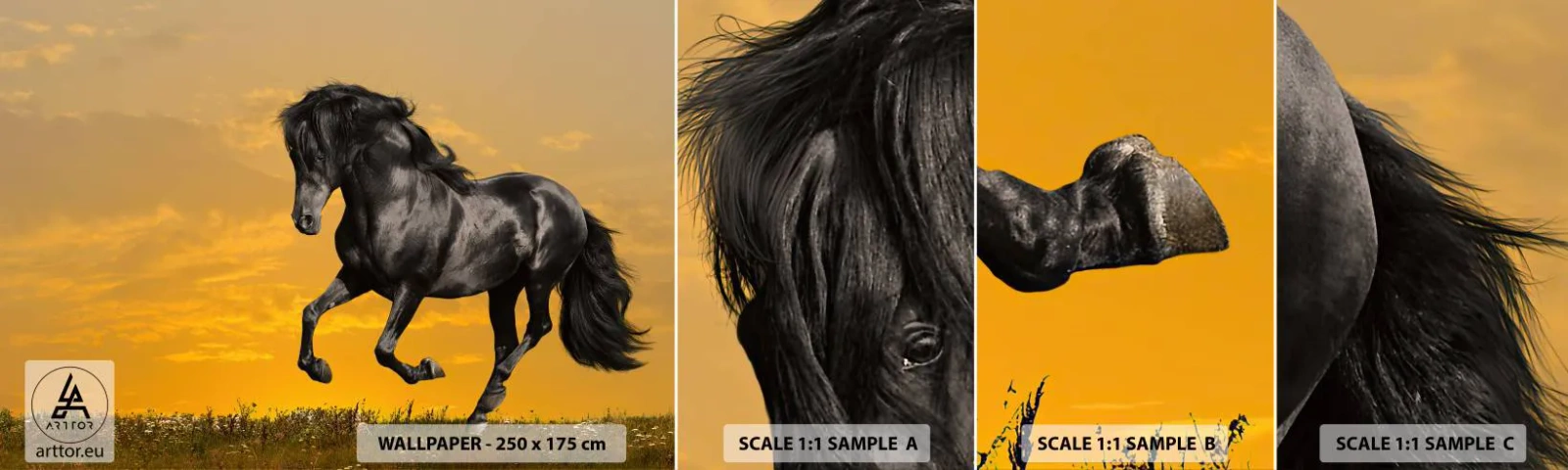 Fotobehang Staaltje Standard Eco - Mooi, vrij en wild - Dieren, Paard, Landschap - 100x30 cm