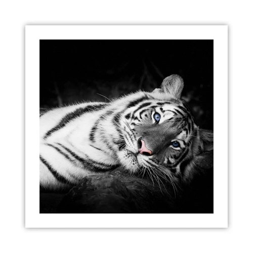 Poster - Wildheid en vrede - 50x50 cm