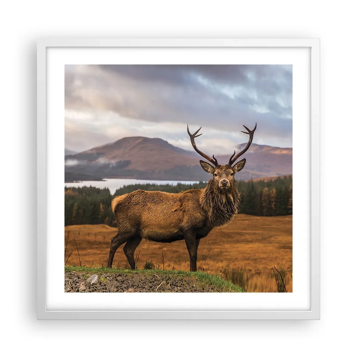 Poster in een witte lijst - De majesteit van de natuur - 50x50 cm