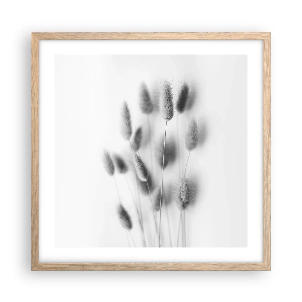 Een poster in een licht eiken lijst - Haar luchtigheid gras - 50x50 cm