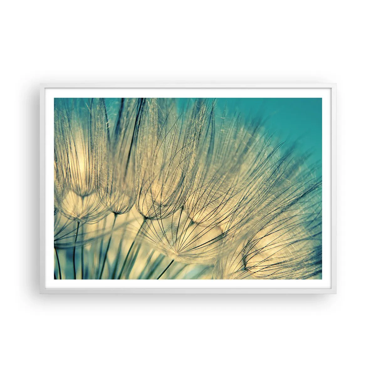 Poster in een witte lijst - In afwachting van de wind - 100x70 cm