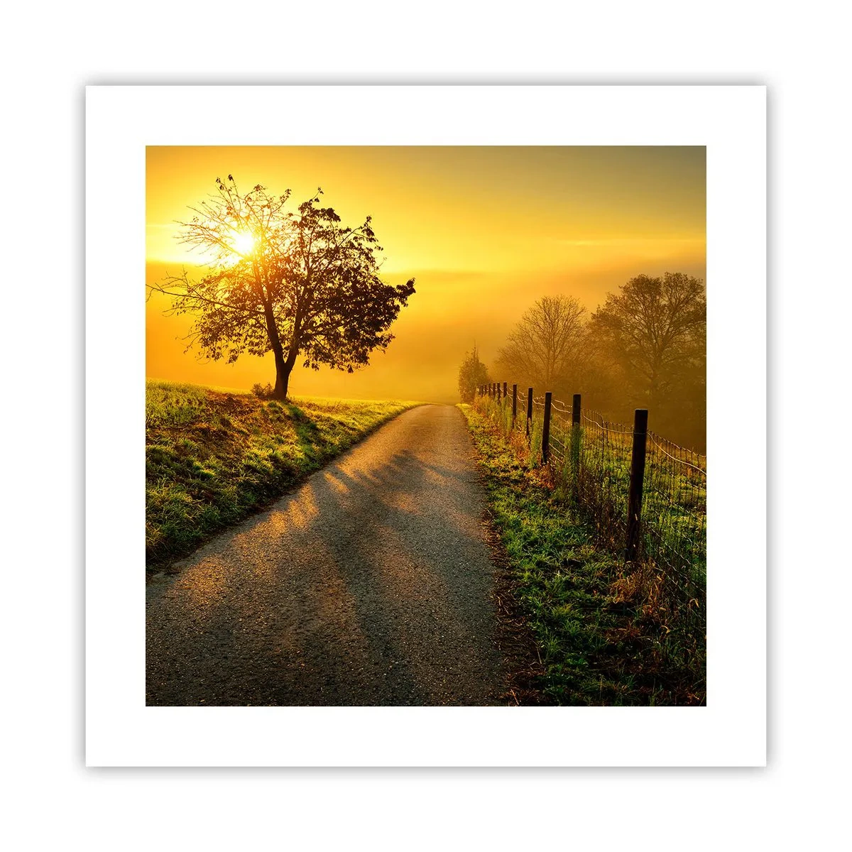 Poster - Honingmiddag - 40x40 cm