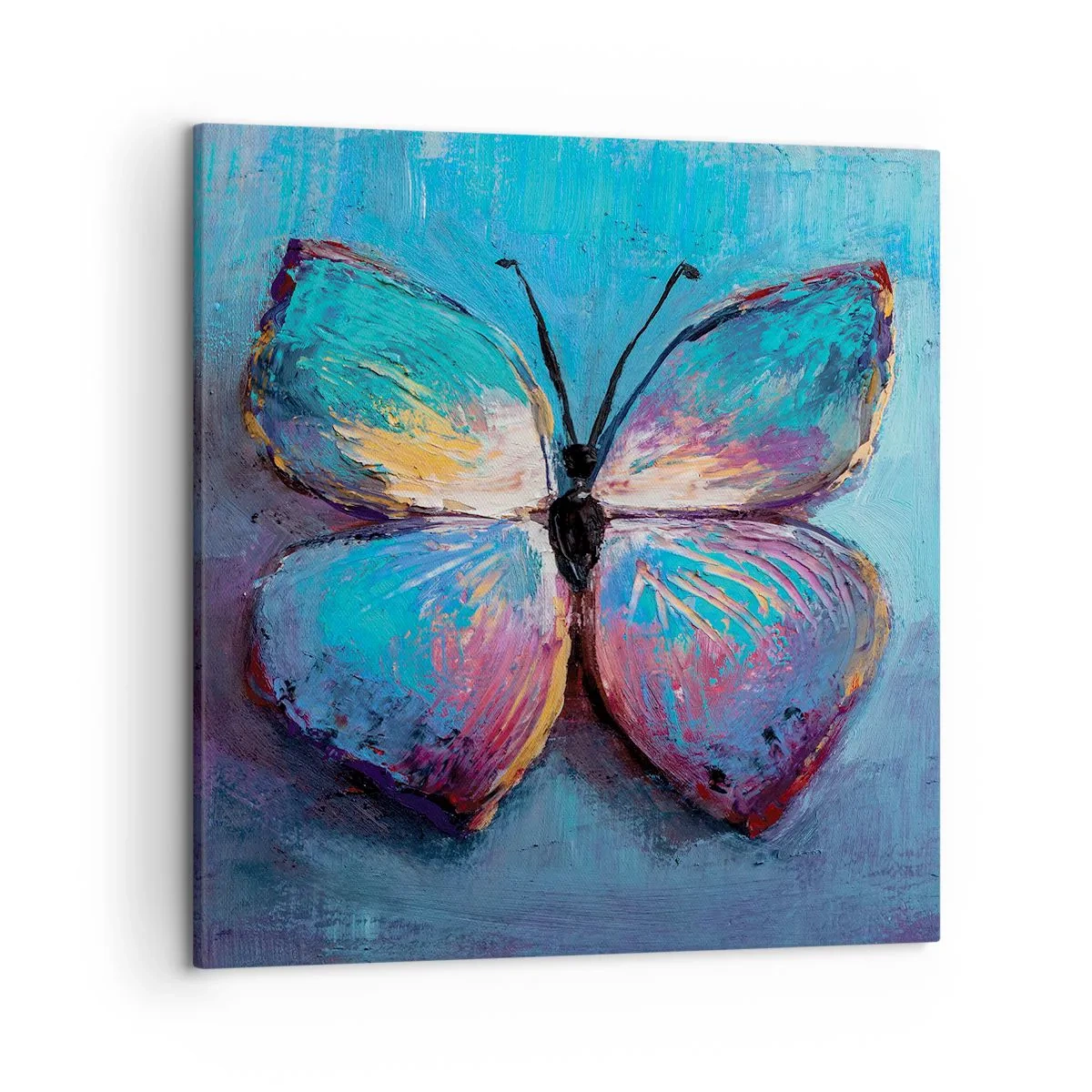 Schilderen op canvas - In al zijn glorie - 50x50 cm