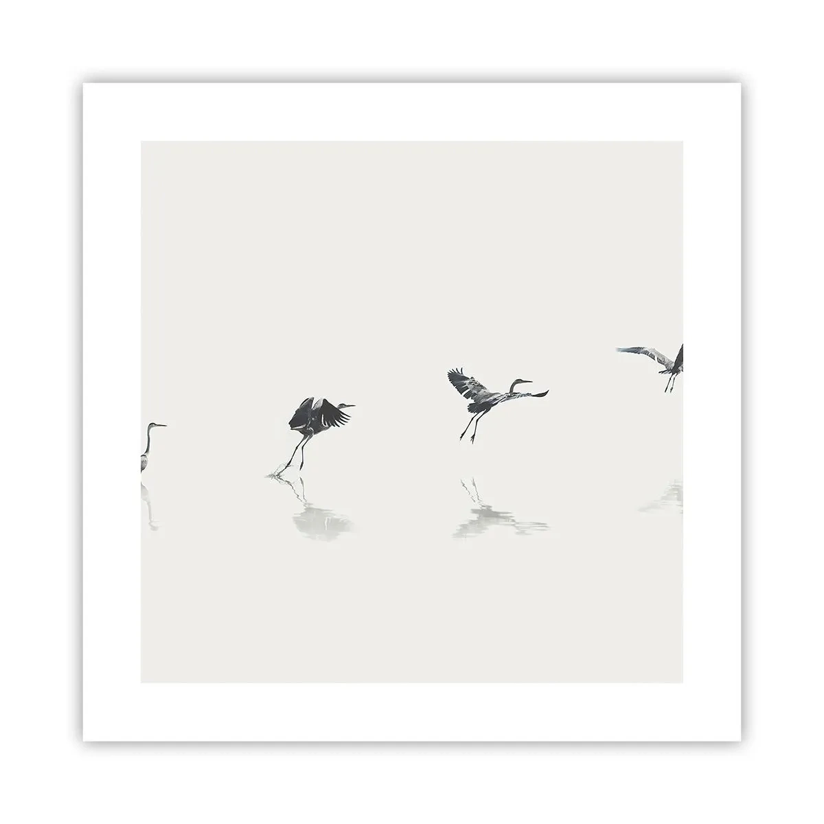 Poster - Vier eenvoudige stappen - 40x40 cm