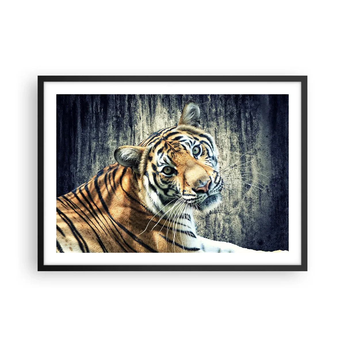 Poster in een zwarte lijst - Portret in stromen van licht - 70x50 cm