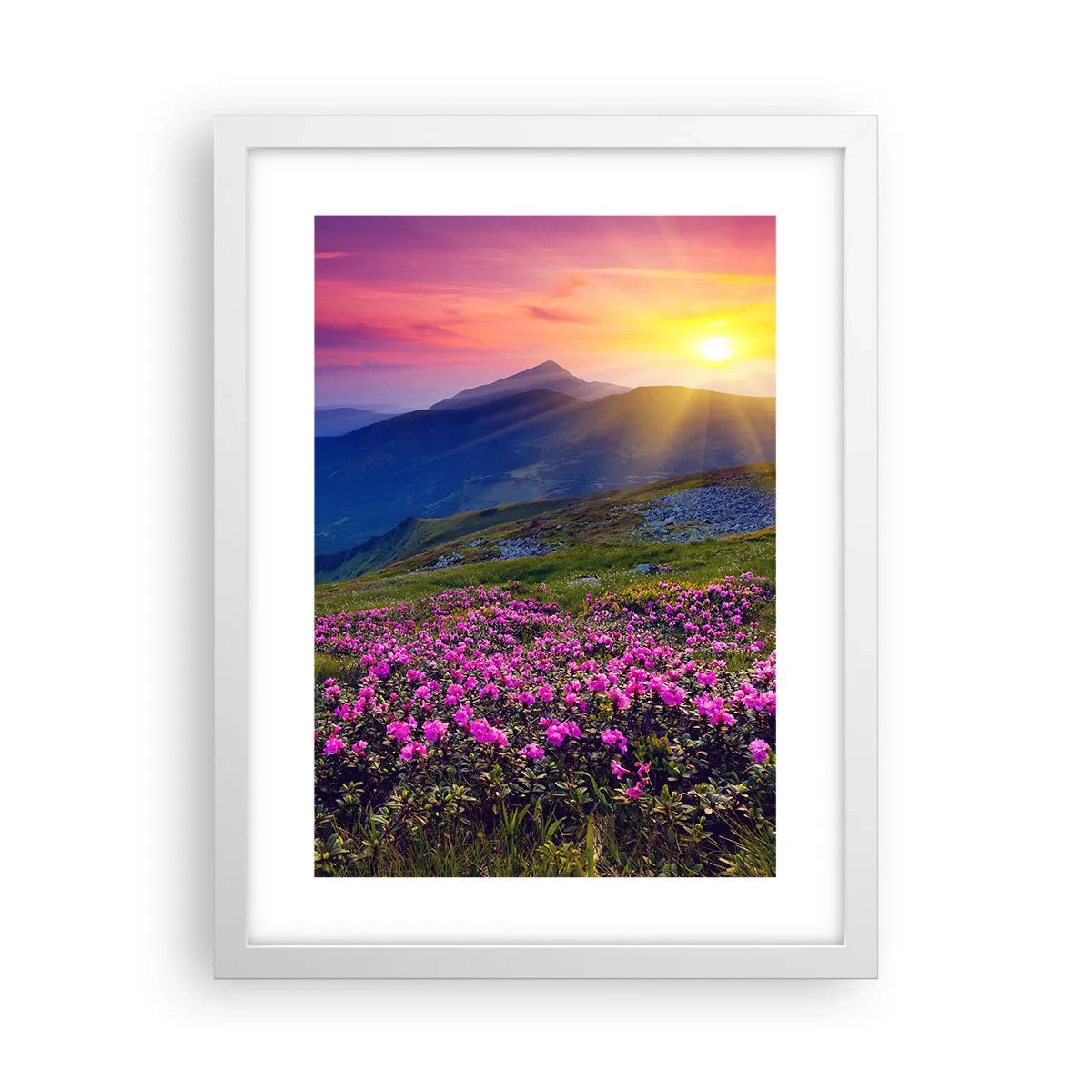 Poster in een witte lijst - … En eromheen ruikt het naar bergdennen en de geur van kruiden - 30x40 cm