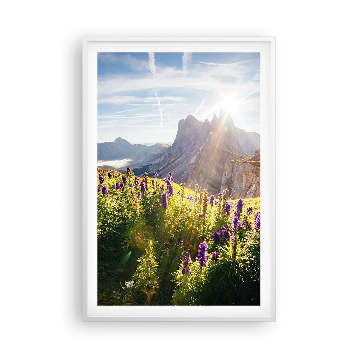 Poster in een witte lijst - Het geheime leven van kruiden - 61x91 cm