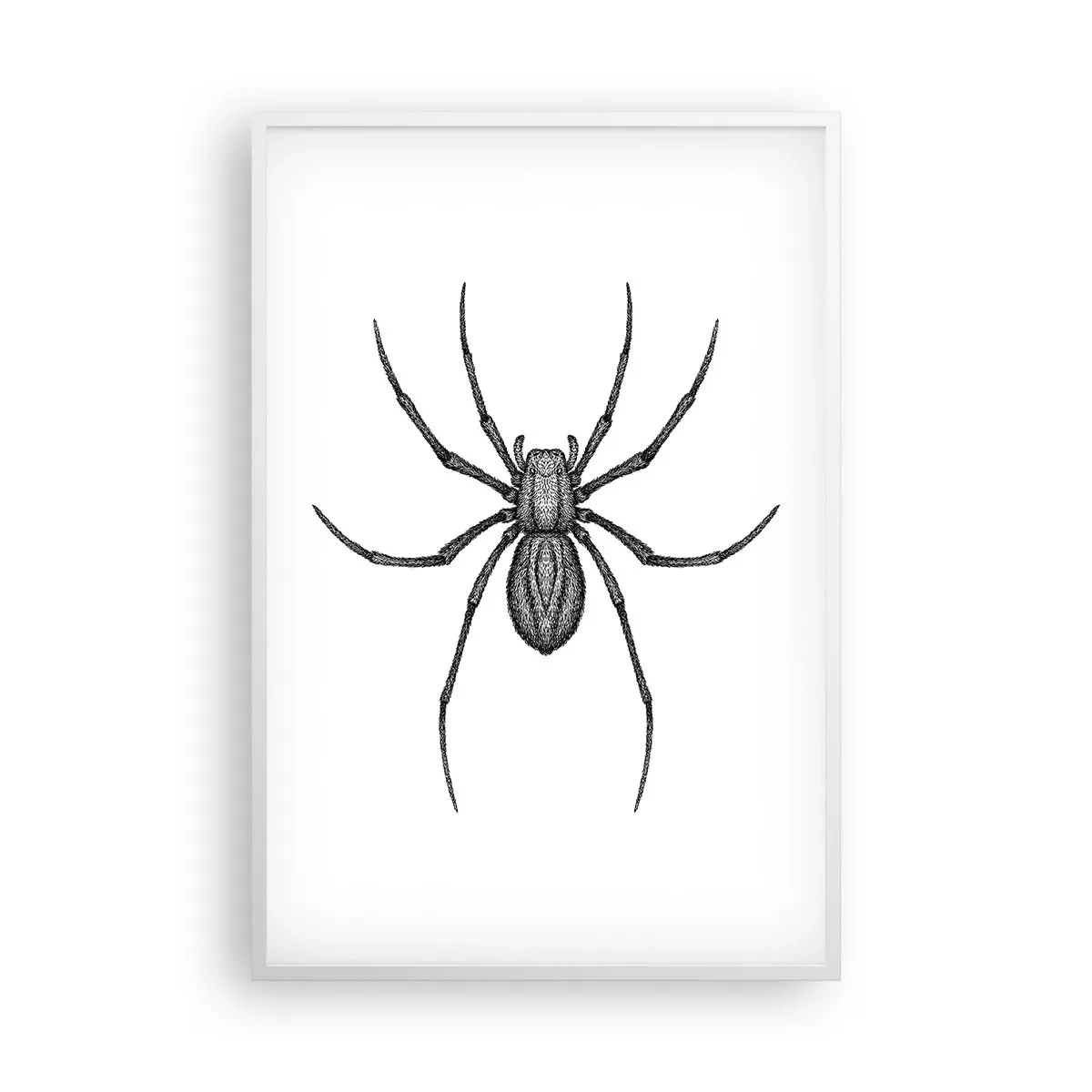 Poster in een witte lijst - Verontrustende precisie - 61x91 cm