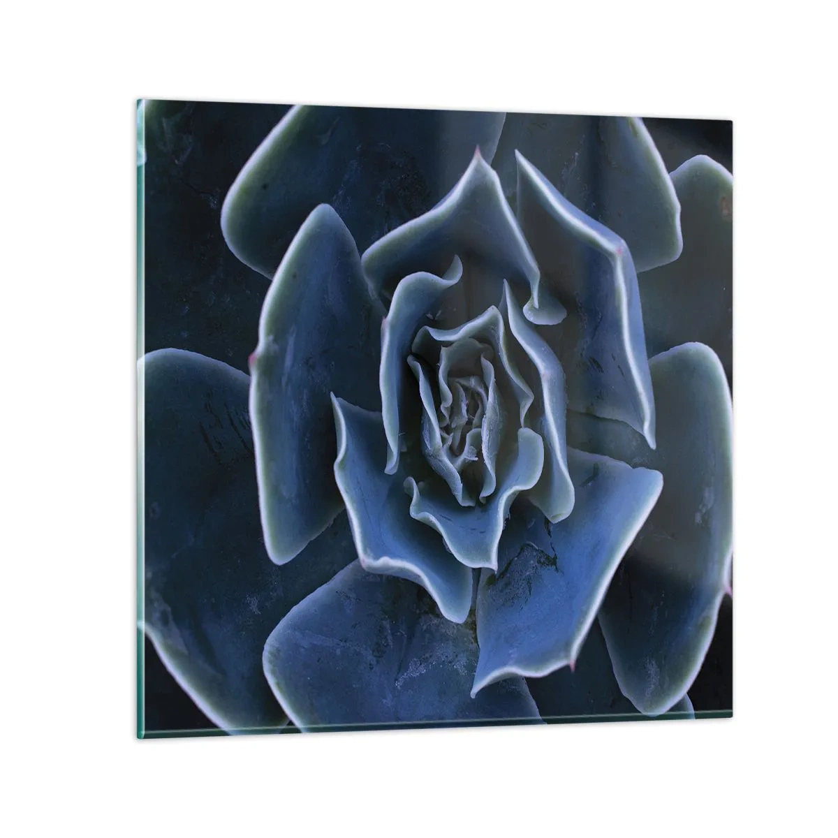 Schilderen op glas - Woestijn bloem - 70x70 cm