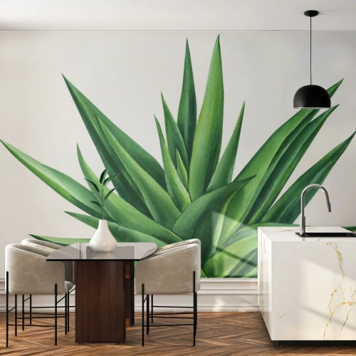 Zelfklevend Fotobehang Deluxe Sticker - Groen – kracht – leven - Plant, Aloë, Plantkunde - 100x70 cm