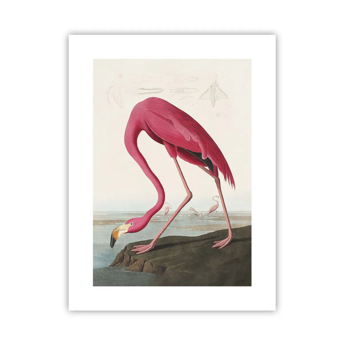 Poster - Geweldige creatie - 30x40 cm