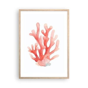 Een poster in een licht eiken lijst - Koraalkleurig koraal - 50x70 cm