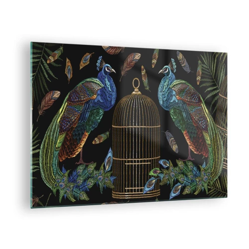 Schilderen op glas - Kleurrijke pauwen en een kooi op een zwarte achtergrond - 70x50cm - In koninklijke gewaden - Moderne wanddecoratie voor woonkamer en slaapkamer ARTTOR