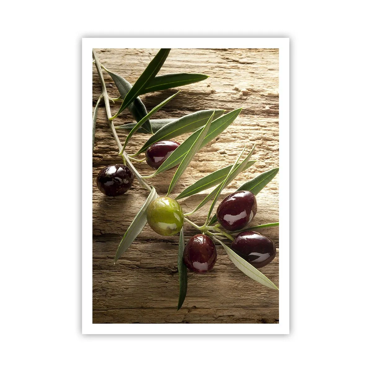 Poster - Rechtstreeks uit de natuur - 70x100 cm