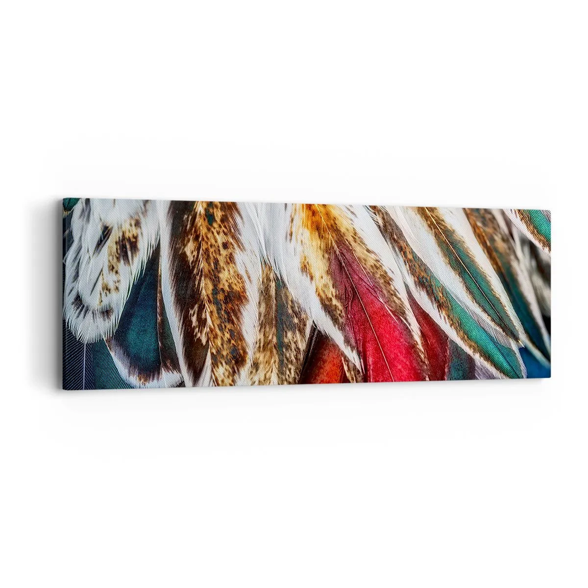 Schilderen op canvas - Geheimen van de vlucht - 90x30 cm
