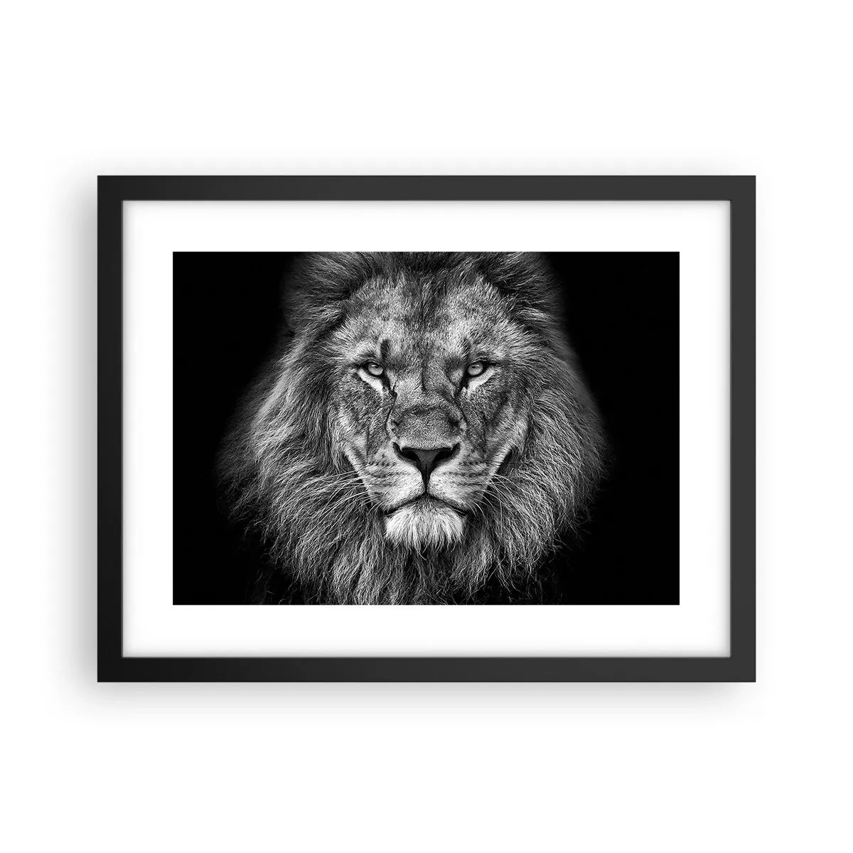 Poster in een zwarte lijst - In een kroningskleed - 40x30 cm