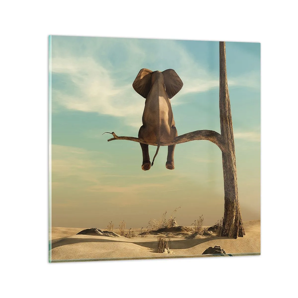 Schilderen op glas - Een nieuw gezichtspunt - 50x50 cm