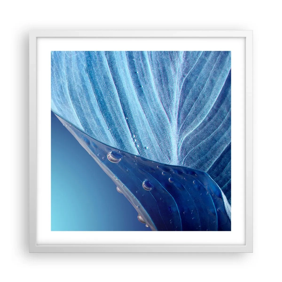 Poster in een witte lijst - Verborgen druppels blauw - 50x50 cm