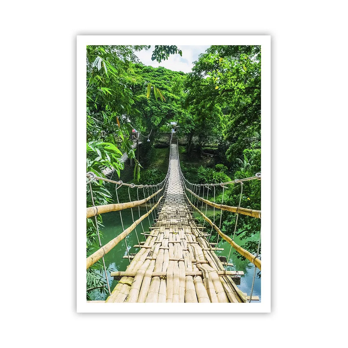 Poster - Apenbrug over de green - 70x100 cm