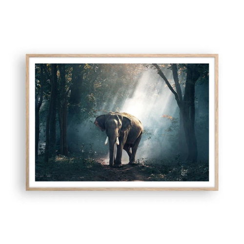 Een poster in een licht eiken lijst - Een ontspannen wandeling - 100x70 cm