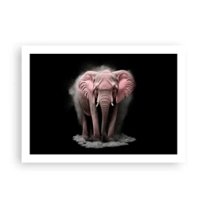 Poster - Denk niet aan een roze olifant! - 70x50 cm