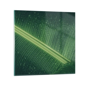 Schilderen op glas - De structuur van groen - 70x70 cm