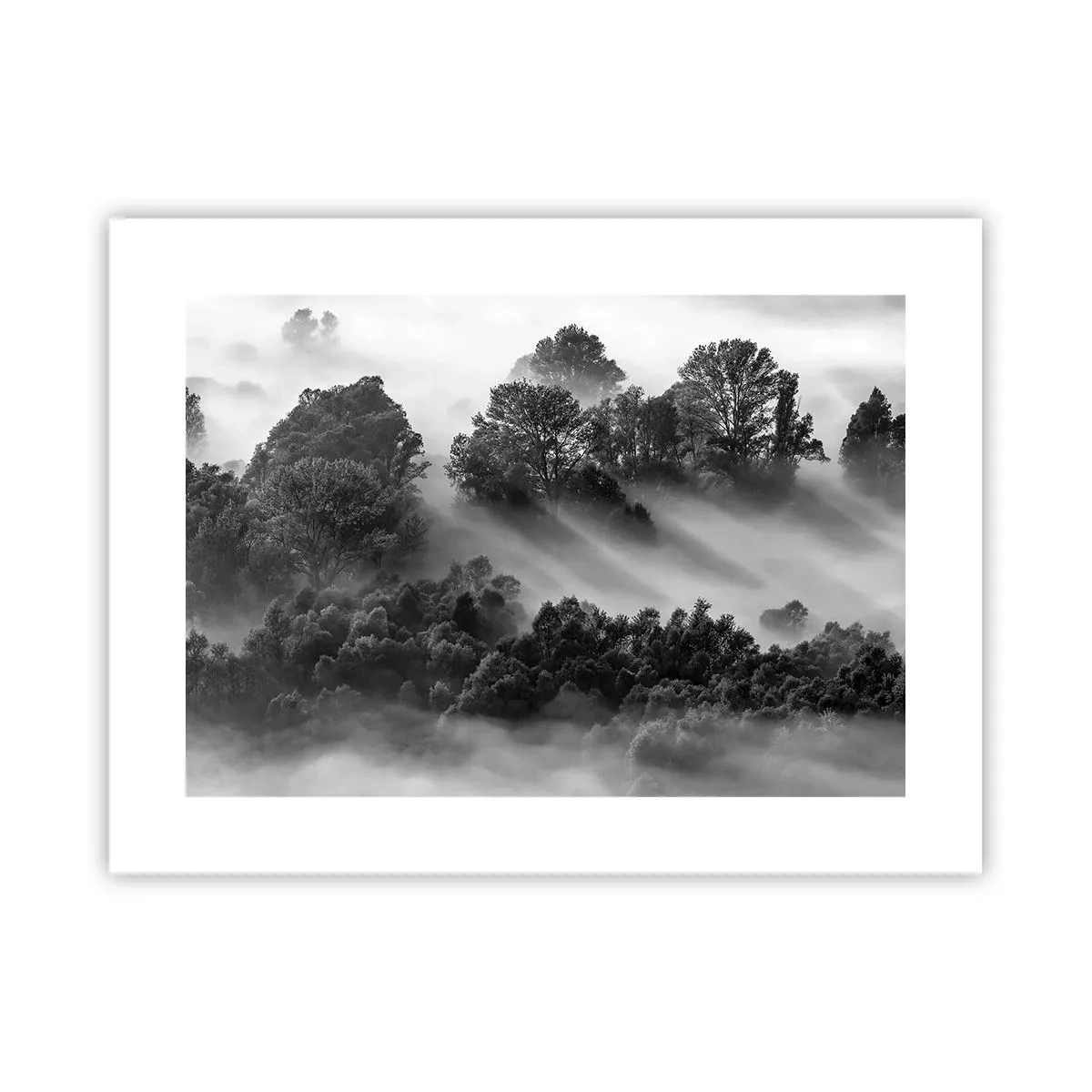 Poster - Opstaand uit de slaap - 40x30 cm