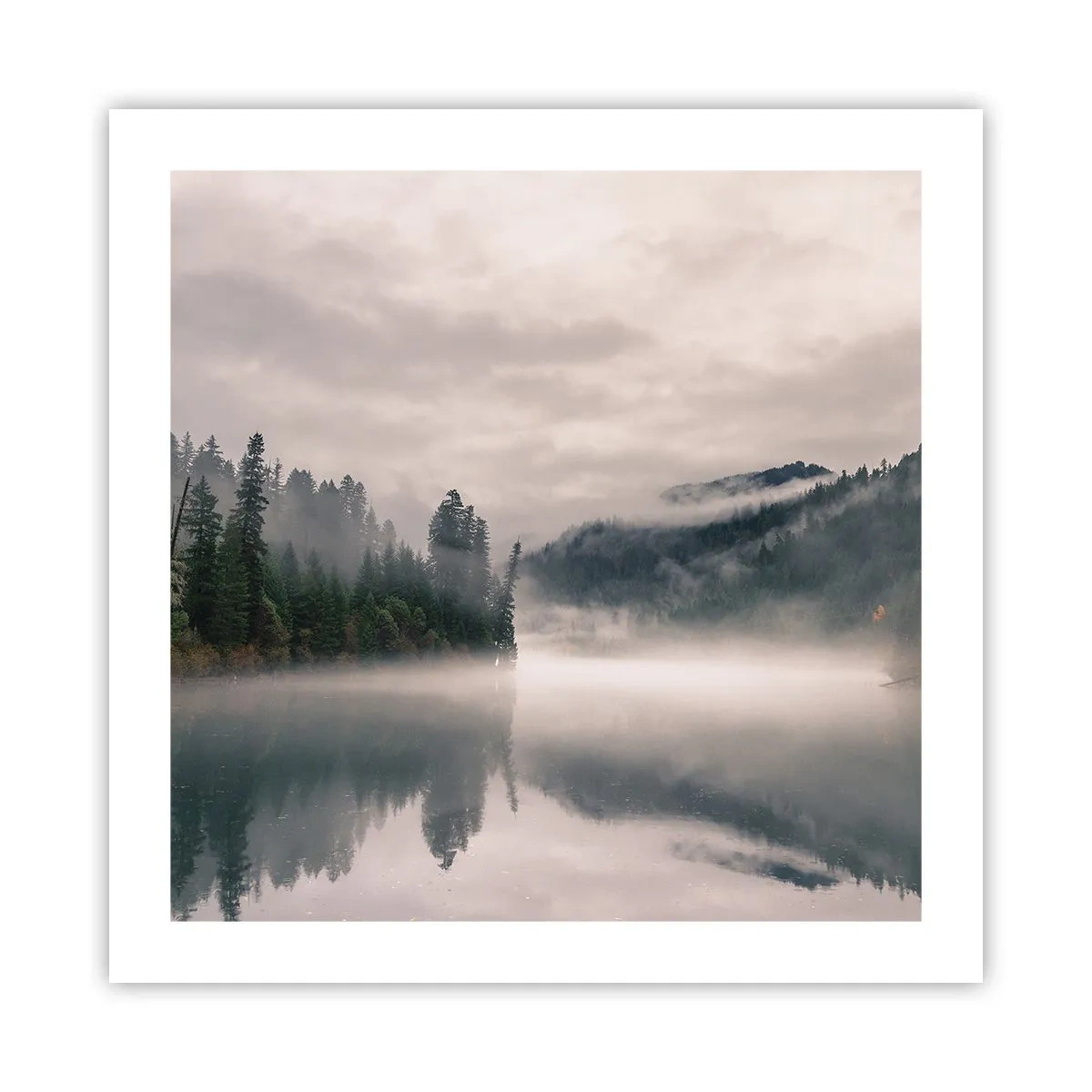 Poster - In reflectie, in de mist - 50x50 cm