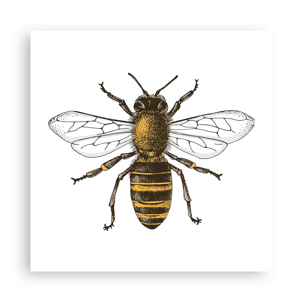 Poster - Mooi en goed - 50x50 cm