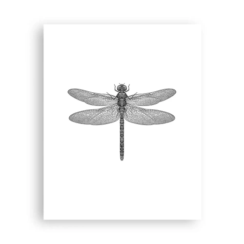 Poster - Precisie van de natuur - 40x50 cm