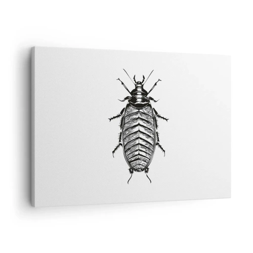 Schilderen op canvas - Afbeelding van een zwart-wit insect op een witte achtergrond - 70x50cm - Wat een exemplaar! - Moderne wanddecoratie voor woonkamer en slaapkamer ARTTOR