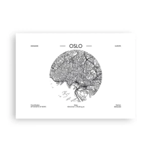 Poster - Anatomie van Oslo - 70x50 cm