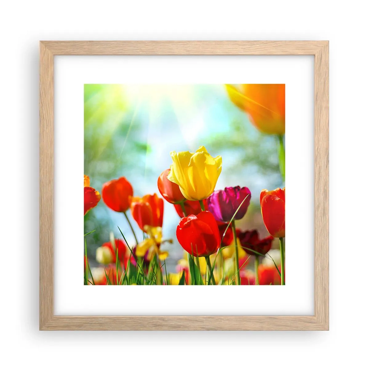 Een poster in een licht eiken lijst - Alle kleuren van de zon - 30x30 cm
